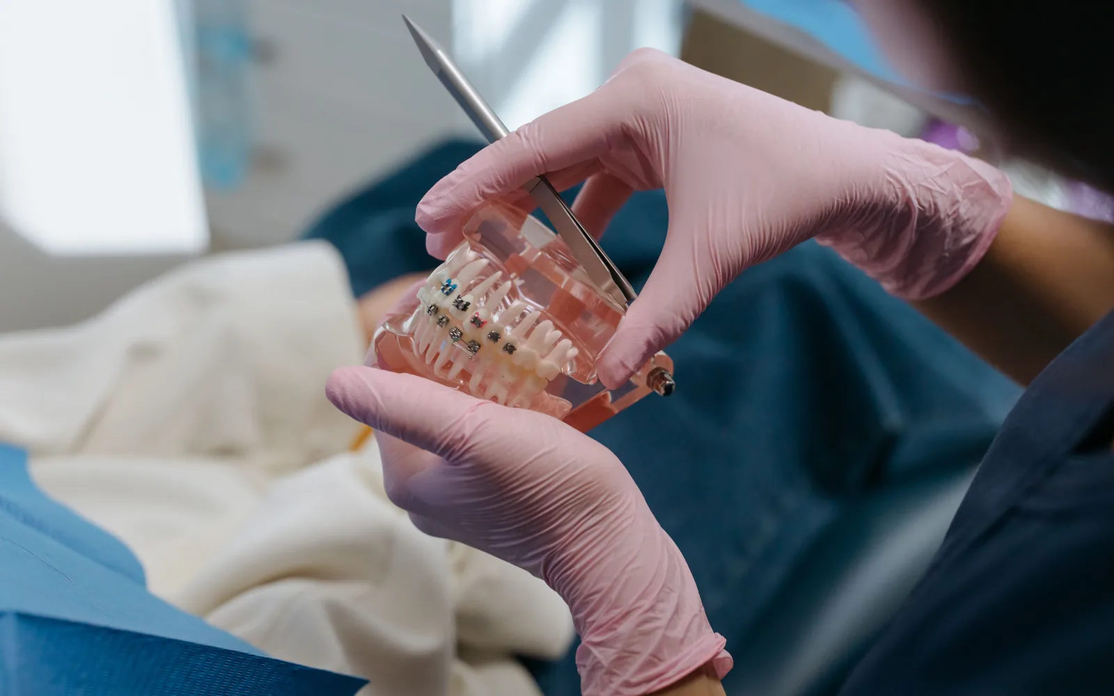 Orthodontic dental model with braces used to demonstrate fixed appliance treatment